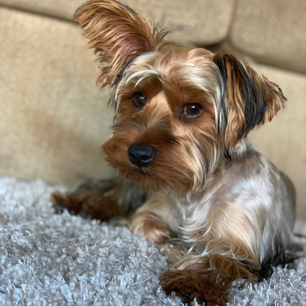 Meet your Posher, Kathy